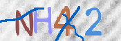 この文字を入力してください