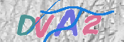 この文字を入力してください