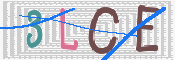 この文字を入力してください