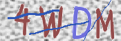 この文字を入力してください