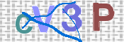 この文字を入力してください