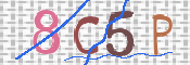 この文字を入力してください