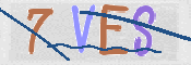 この文字を入力してください