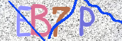 この文字を入力してください