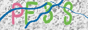 この文字を入力してください