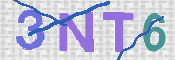 この文字を入力してください