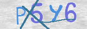この文字を入力してください