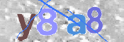 この文字を入力してください