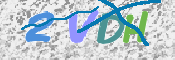 この文字を入力してください