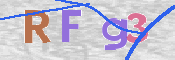 この文字を入力してください