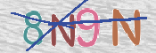 この文字を入力してください