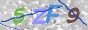 この文字を入力してください
