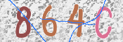 この文字を入力してください