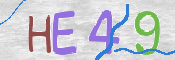 この文字を入力してください