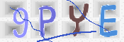 この文字を入力してください