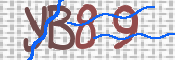 この文字を入力してください