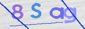 この文字を入力してください