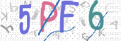 この文字を入力してください