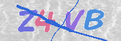 この文字を入力してください