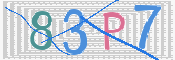 この文字を入力してください