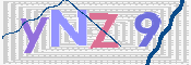 この文字を入力してください
