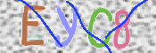 この文字を入力してください