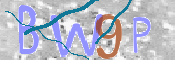 この文字を入力してください