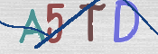 この文字を入力してください