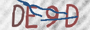 この文字を入力してください