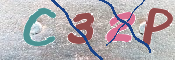 この文字を入力してください