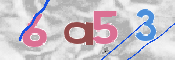この文字を入力してください