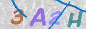 この文字を入力してください