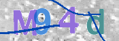 この文字を入力してください