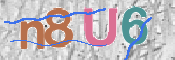 この文字を入力してください