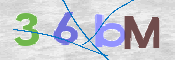 この文字を入力してください