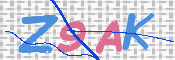 この文字を入力してください