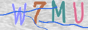 この文字を入力してください