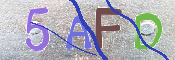 この文字を入力してください