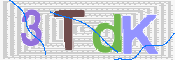この文字を入力してください