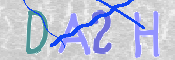 この文字を入力してください