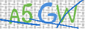この文字を入力してください