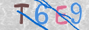 この文字を入力してください