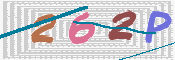 この文字を入力してください