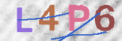 この文字を入力してください