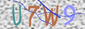 この文字を入力してください