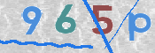 この文字を入力してください