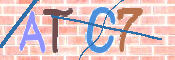 この文字を入力してください