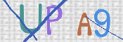 この文字を入力してください