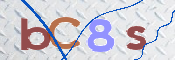 この文字を入力してください