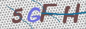 この文字を入力してください